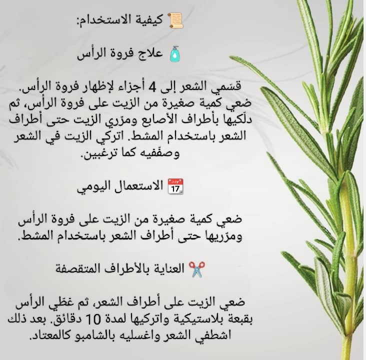 ودّعي تساقط الشعر! علاج طبيعي كامل بشامبو + زيت إكليل الجبل الأصلي 🌿✨ 🇺🇸 Mielle Originale
